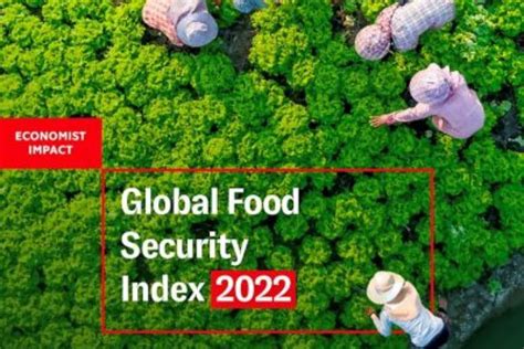 Uae Ranks St In Mena Region On The Global Food Security Index