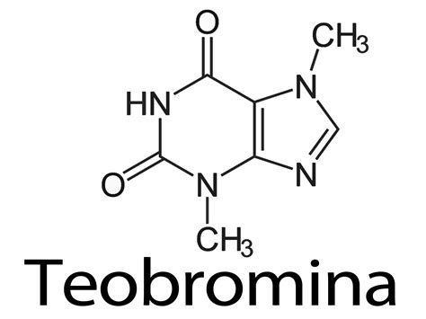 Teobromina A Que No Sabias TEOBROMINA