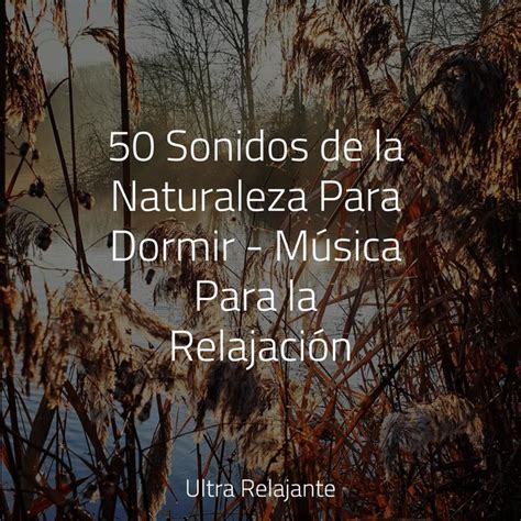 Sonidos De La Naturaleza Para Dormir M Sica Para La Relajaci N By