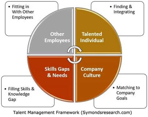 5 Steps Of Talent Management Process Framework For Success