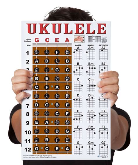 Laminated Ukulele Fretboard Note Poster Chord Chart X Reverb