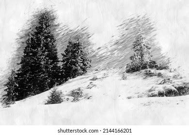 Snowy Landscape Trees Pencil Drawing Style Stock Illustration ...