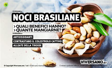 Noci Brasiliane Propriet Calorie Valori Nutrizionali E