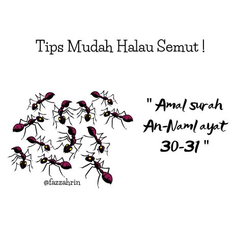 Detail Surat An Naml Ayat Koleksi Nomer