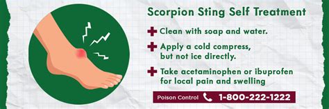 Scorpion Season Isn't Over Yet: Stay Prepared With Bulwark Pest Control