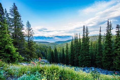 Lewis Clark Backcountry Byway Road Trips In Central Idaho