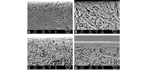 Sem Micrographs Of Cross Sections Of Aisi H13 Tool Steel Samples After