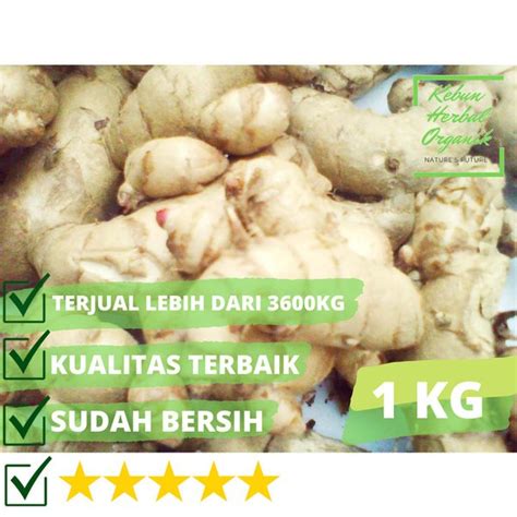 Jual KUNYIT TEMU PUTIH SEGAR 1KG CURCUMA ZEDOARIA HERBAL KANKER Di