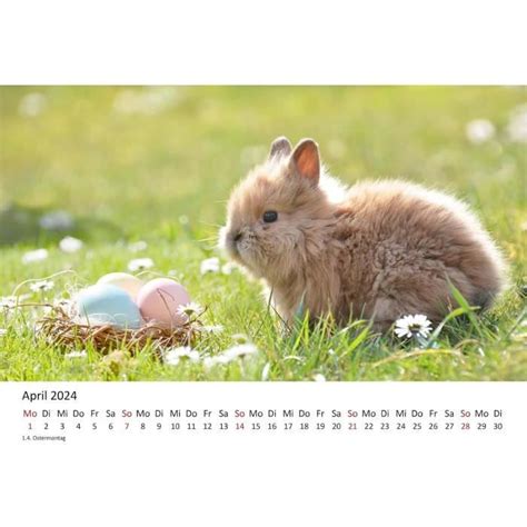 Calendrier Mural De Qualit Sup Rieure Format A Motif Petits