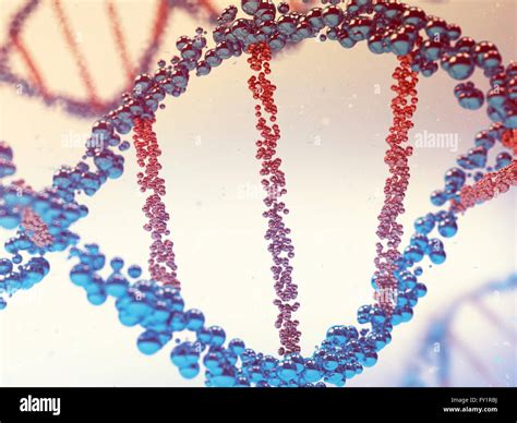 D Rendering Of Dna Stock Photo Alamy