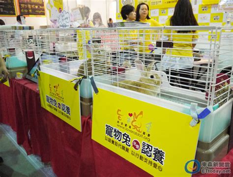 台北寵物展每日300狂犬疫苗免費打 貓狗兔等愛心認養 Ettoday寵物動物新聞 Ettoday 新聞雲