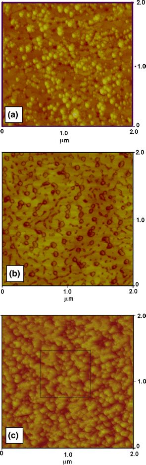 AFM Image Of Indium Rich InGaN Quantum Dots QDs Deposited On The