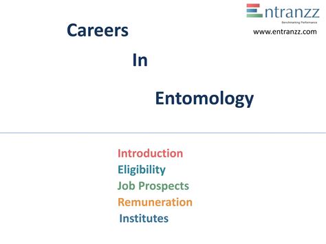 61 Careers In Entomology Ppt