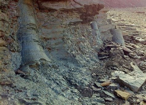 The Joggins Fossil Cliffs A World Heritage Site Situated On The Bay Of