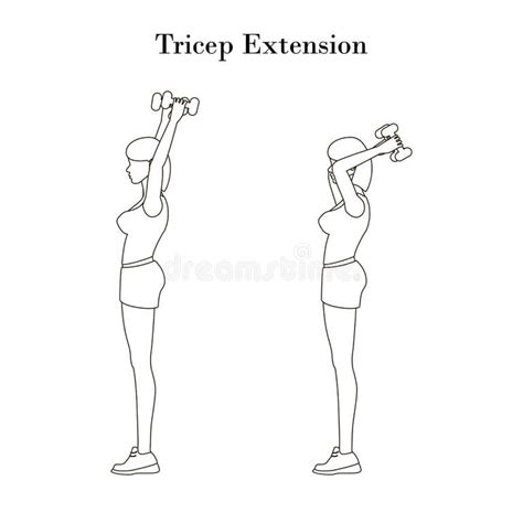 Tricep Extension Stock Illustrations 61 Tricep Extension Stock Illustrations Vectors