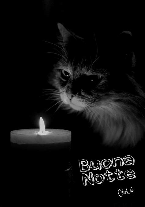 Pin Di Lucia Favro Su BUONA NOTTE Buona Serata Buonanotte Buona