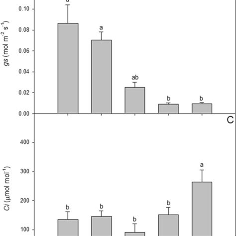 Mean Values N Of Co Assimilation Rate A A Stomatal