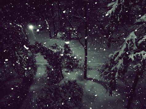 First Real Snow By Chidori77 On Deviantart