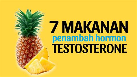 7 Makanan Penambah Hormon Testosteron Bagian 1 Herbal Testosterone