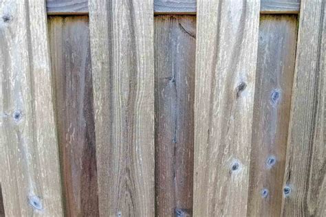 Stylish Horizontal Fence Ideas Gardenia Organic