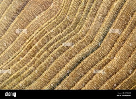 Aerial View Of Farm Stock Photo - Alamy