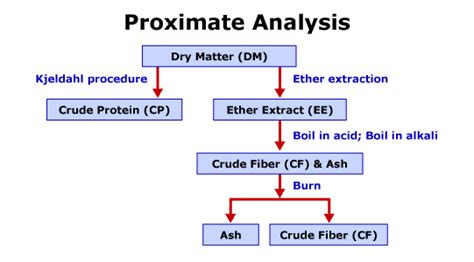 Ans 312 Applied Animal Nutrition Feedstuffs And Ration Formulation