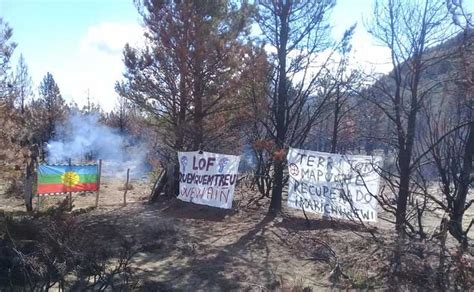 Nuevo Ataque Mapuche Agresión Y Tentativa De Incendio En El Bolsón