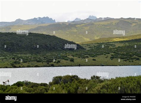 Lake Against A Mountain Background Lake Ellis In Mount Kenya National