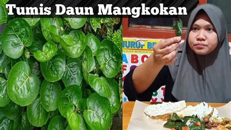 Masak Tumis Daun Mangkokan Rasanya Unik Tapi Enak Kalian Wajib Coba