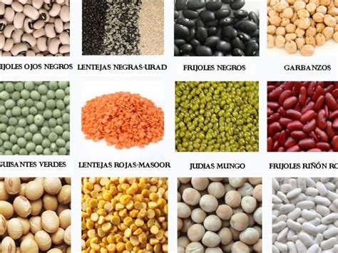 Ejemplos De Leguminosas Lentejas Garbanzos Y Frijoles Negros