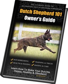 Dutch Shepherd 101: Owner's Guide