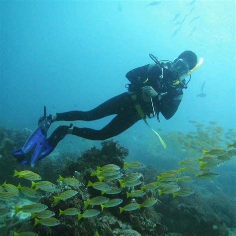 Spot Menyelam Terindah Di Raja Ampat Indonesiajuara