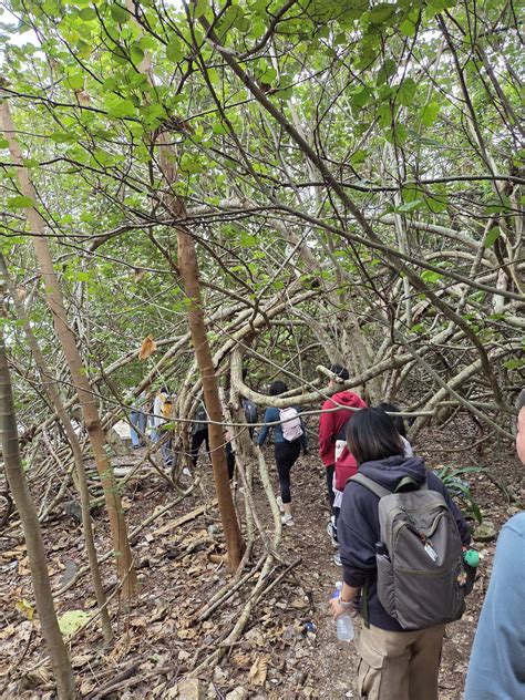 PGH Activity: Exploring Hong Kong Series – Cultural Tour at Tai Po
