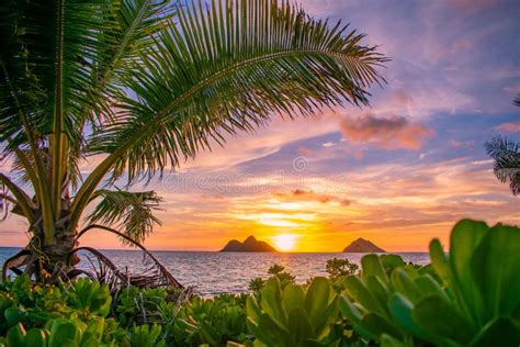 Gorgeous Lanikai Beach Sunrise Stock Image Image Of Kailua Beautiful