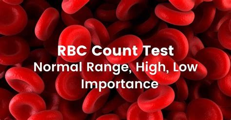 Red Blood Cell RBC Blood Test DoctorOnHealth