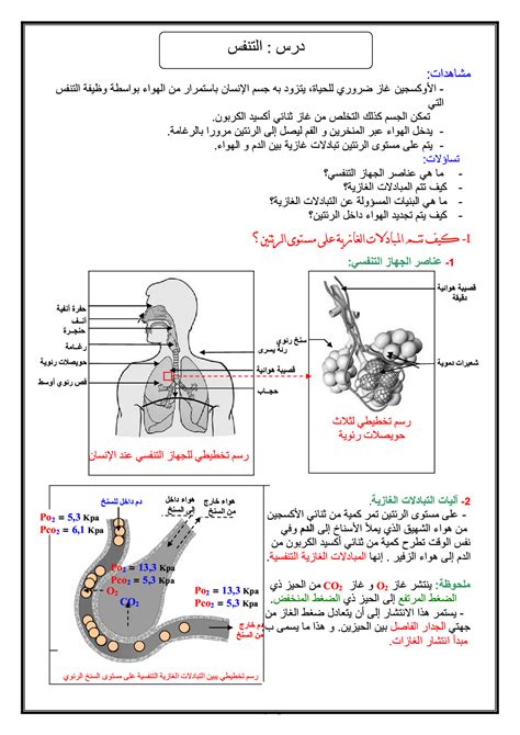 التنفس عند الإنسان الدرس 2 Alloschool