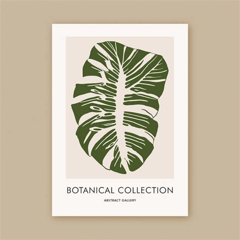 Une Affiche Qui Dit Collection Botanique Dessus Vecteur Premium