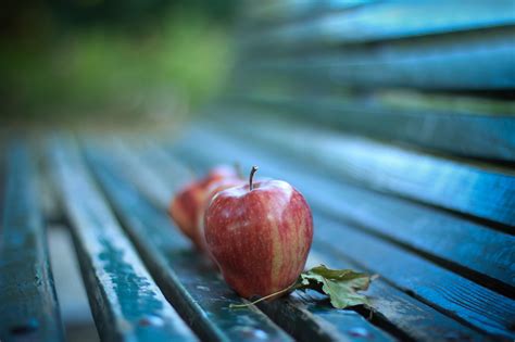 Fondos De Pantalla Luz De Sol Comida Rojo Fotograf A Fruta Verde