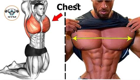 Wealth Mail On Twitter 5 Best Chest Training To Turn Your Chest Into