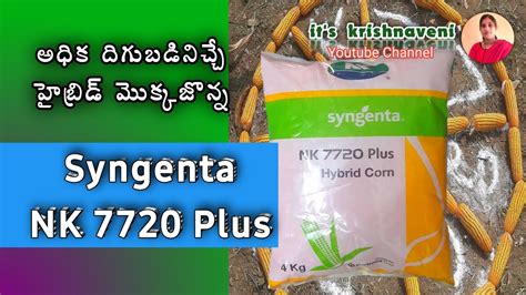 Syngenta NK 7720 Plus Syngenta NK 7720 Plus Mokkajonna Telegu