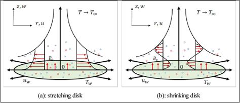 physical model considered   study  scientific diagram
