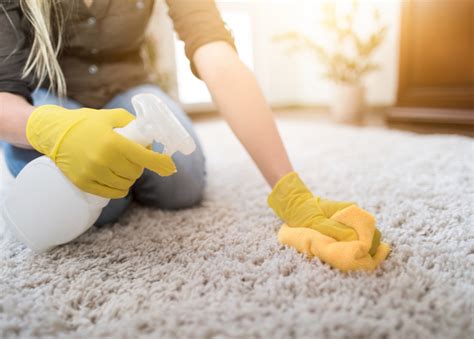 Trucos Sencillos Para Limpiar Tus Alfombras O Tapetes Jelpit