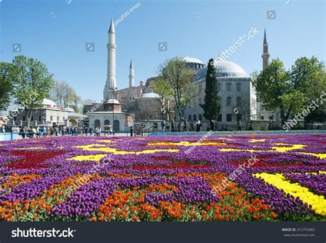 Istanbul Tulip Festival Images Stock Photos And Vectors Shutterstock