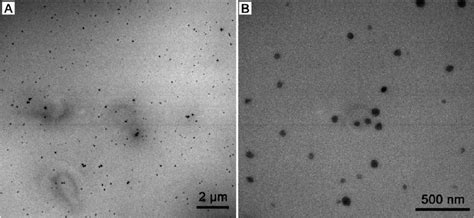 TEM Images Of Carbon Dots Synthesized With Citric Acid And Urea Using