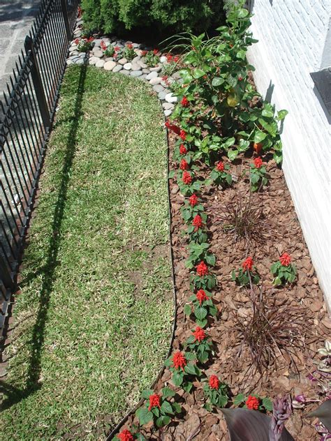 Reverdir Jardineria Y Paisajismo El Color De Las Flores Rojo En