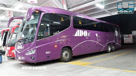 Autobuses Ado Gl Horarios Boletos Tarifas Teléfonos 【2024】