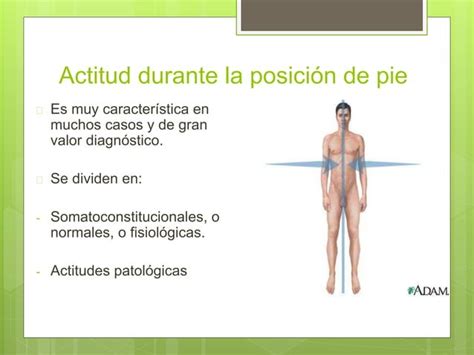 Alteraciones En El Examen F Sico General Ppt