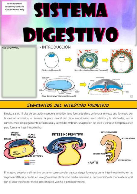 Sistema Digestivo Aangella Pt Udocz