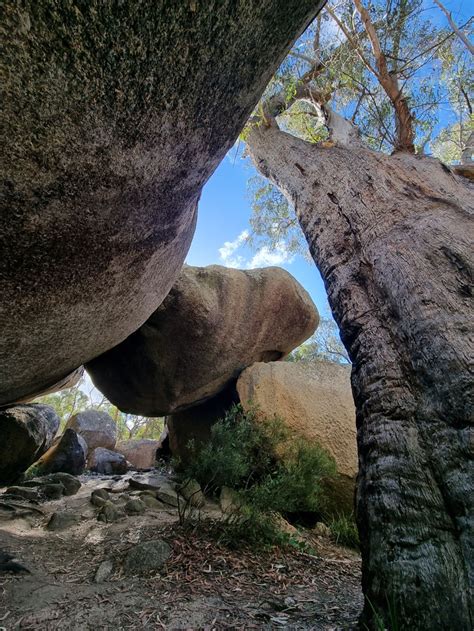 Exploring Girraween National Park The Travel Junkie