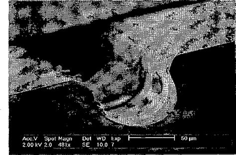 Figure 2 From 3D Microstructuring Of Glass Using Electrochemical